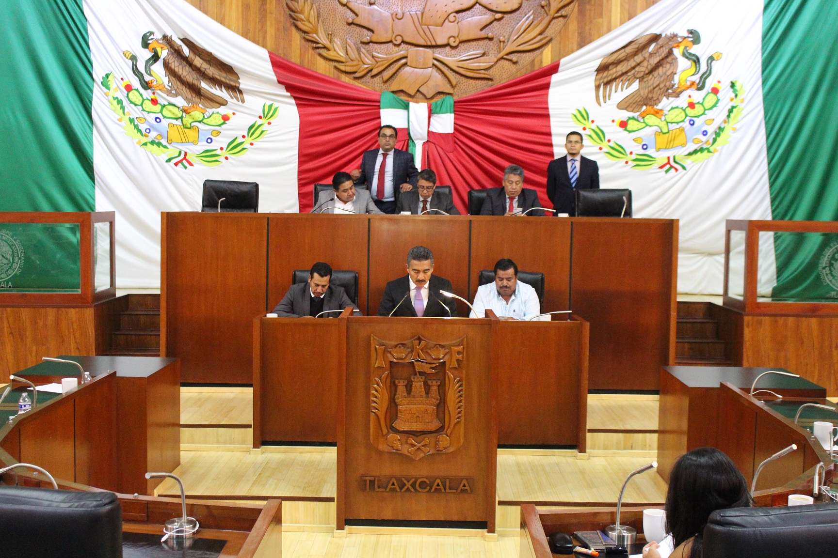 DIP. DELFINOSUÁREZ (2)