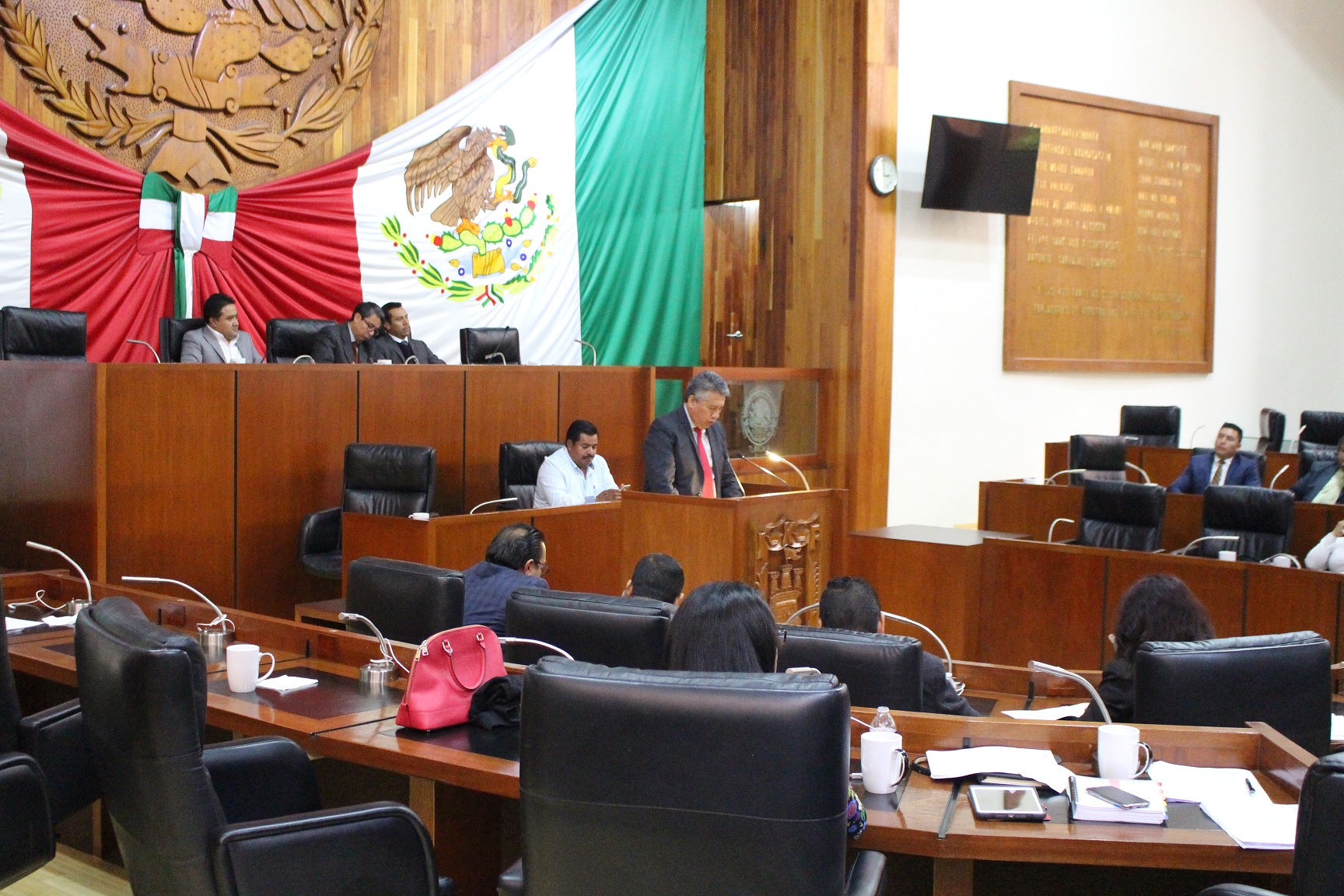 DIP. J.CARMEN CORONA (2)