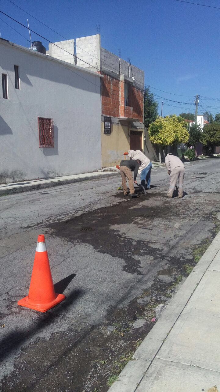 WhatsApp Image 2017-08-28 at 1.27.41 PM