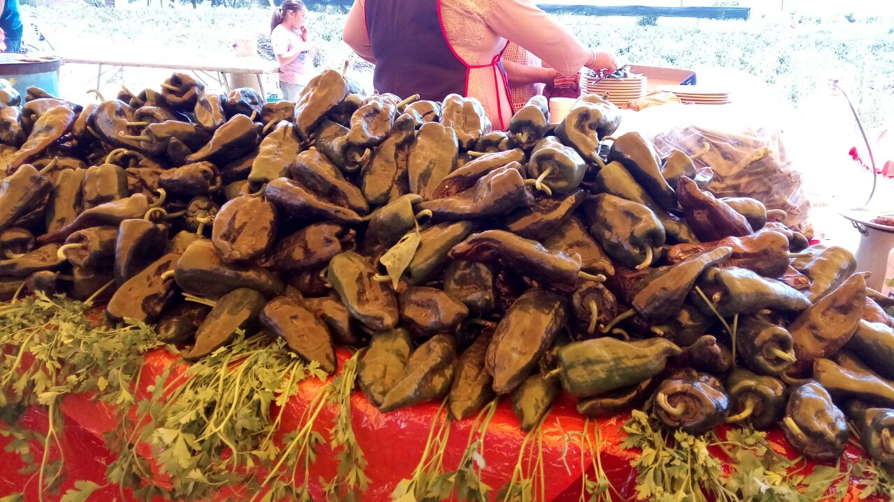 WhatsApp Image 2017-08-29 at 15.06.02