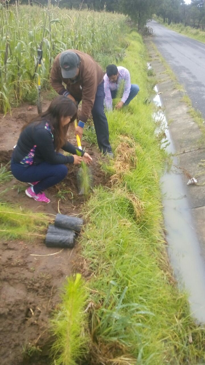 WhatsApp Image 2017-08-30 at 10.11.53