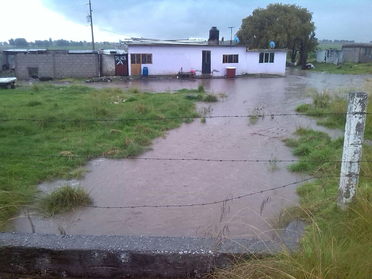 WhatsApp Image 2017-08-30 at 17.45.54