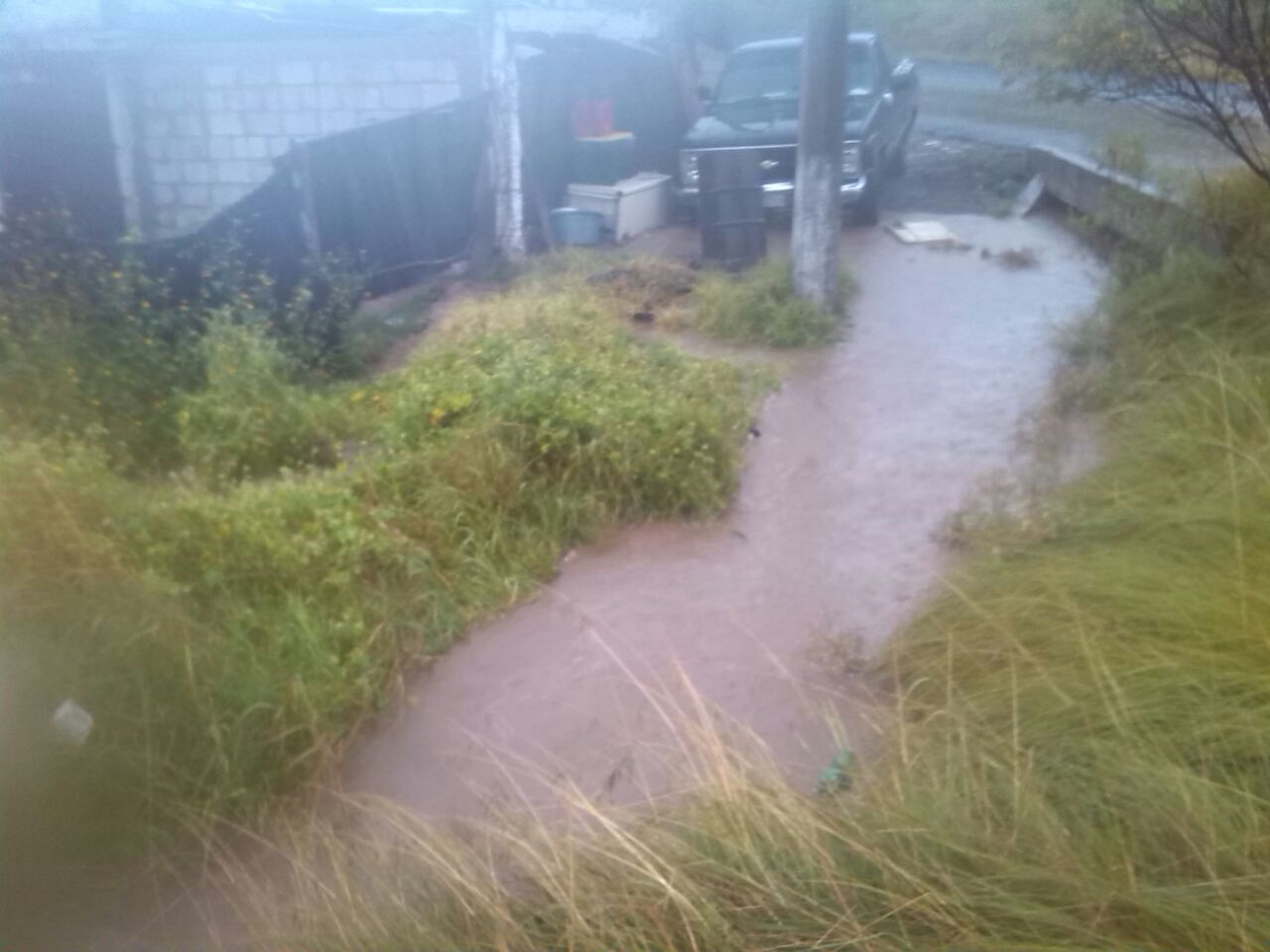 WhatsApp Image 2017-08-30 at 17.51.47