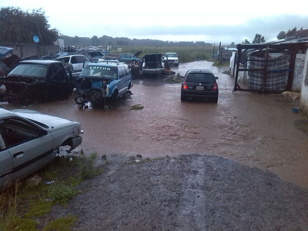 WhatsApp Image 2017-08-30 at 17.53.14