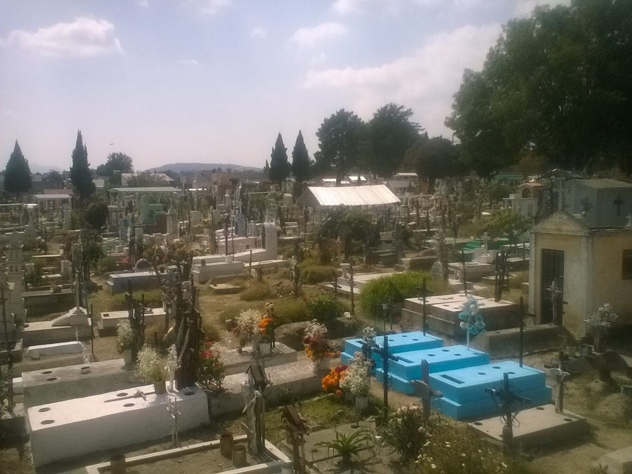 WhatsApp Image 2017-10-31 at 12.09.50