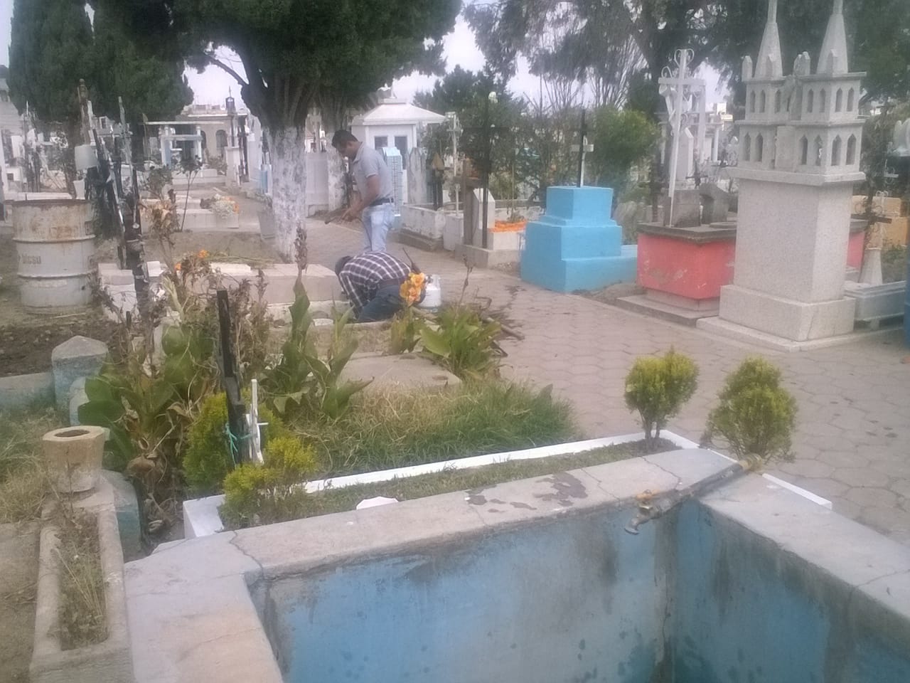 WhatsApp Image 2017-10-31 at 12.09.55