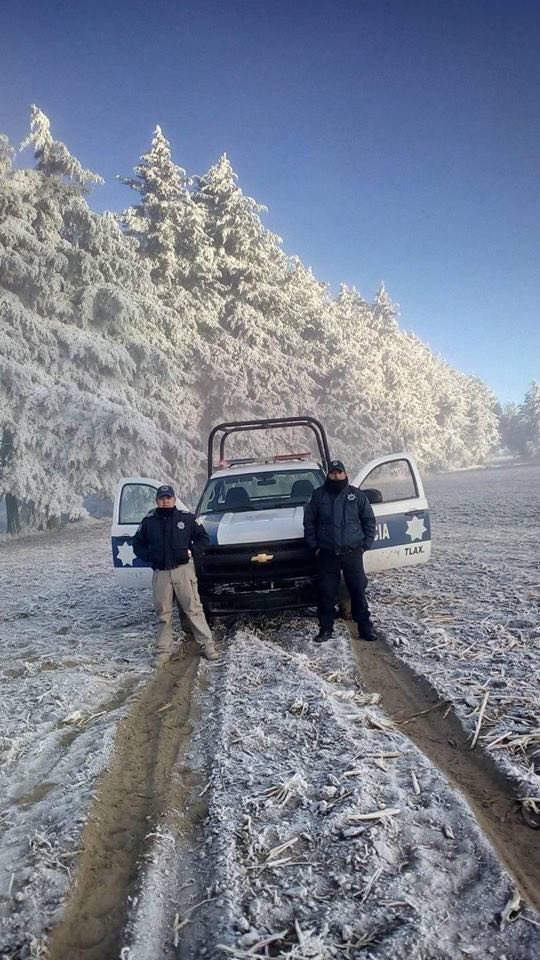 WhatsApp Image 2018-01-15 at 08.37.54