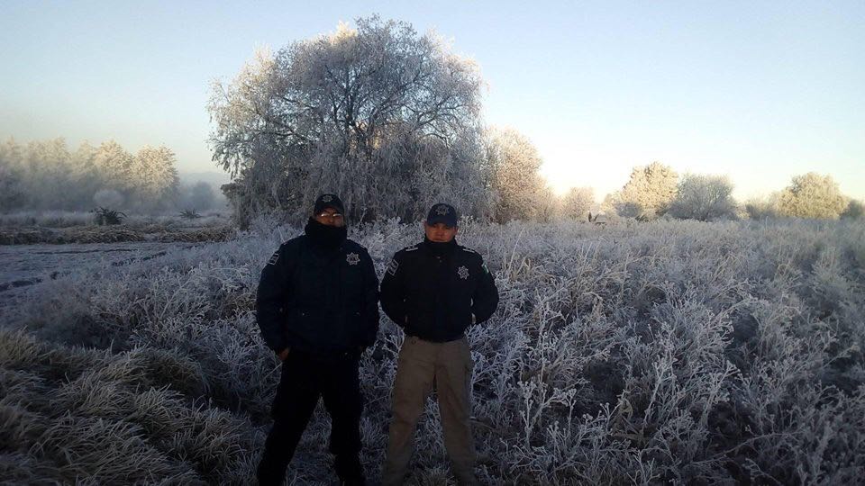 WhatsApp Image 2018-01-15 at 08.38.08