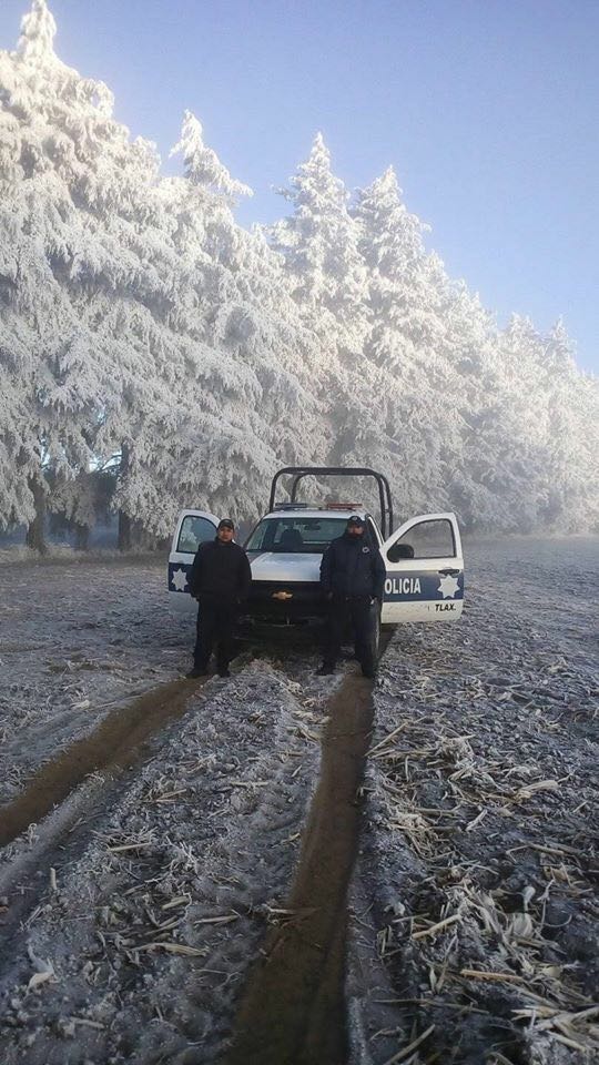 WhatsApp Image 2018-01-15 at 08.37.52