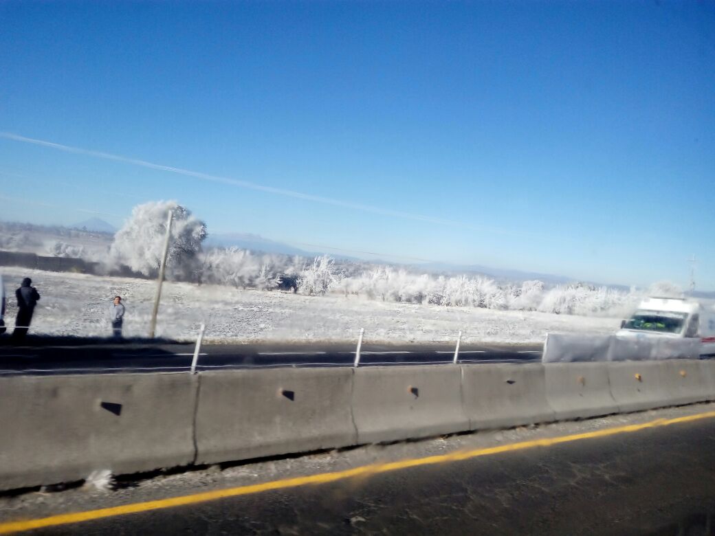 WhatsApp Image 2018-01-15 at 08.50.16 (1)