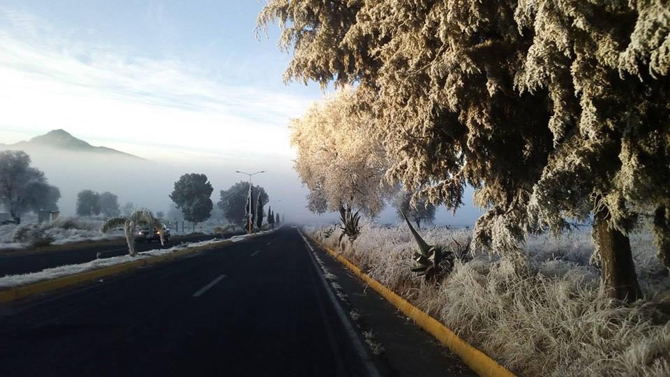 WhatsApp Image 2018-01-15 at 08.37.56