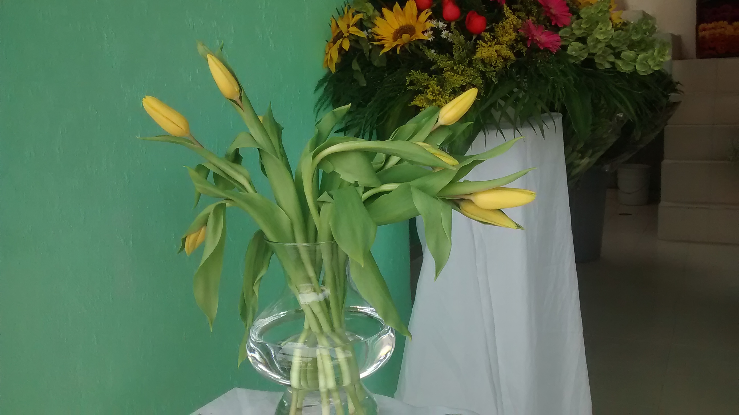 IMG_20180117_160059557 (1)