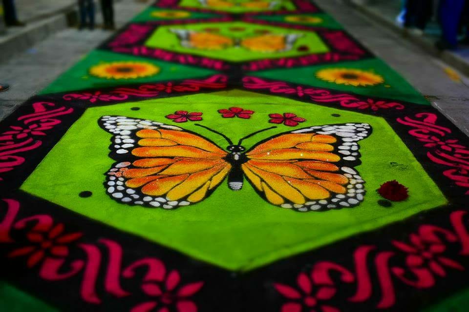 WhatsApp Image 2018-08-15 at 4.17.07 PM (9)